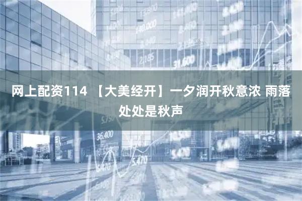 网上配资114 【大美经开】一夕润开秋意浓 雨落处处是秋声
