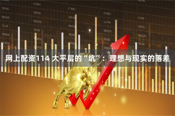 网上配资114 大平层的“坑”：理想与现实的落差